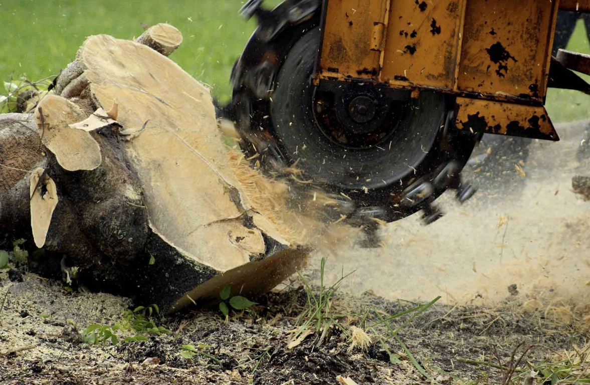 Stump Grinding & Removal in Edmond, OK